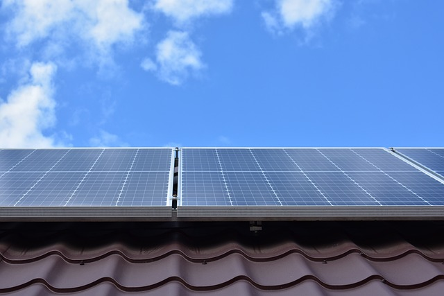 paneles solares
